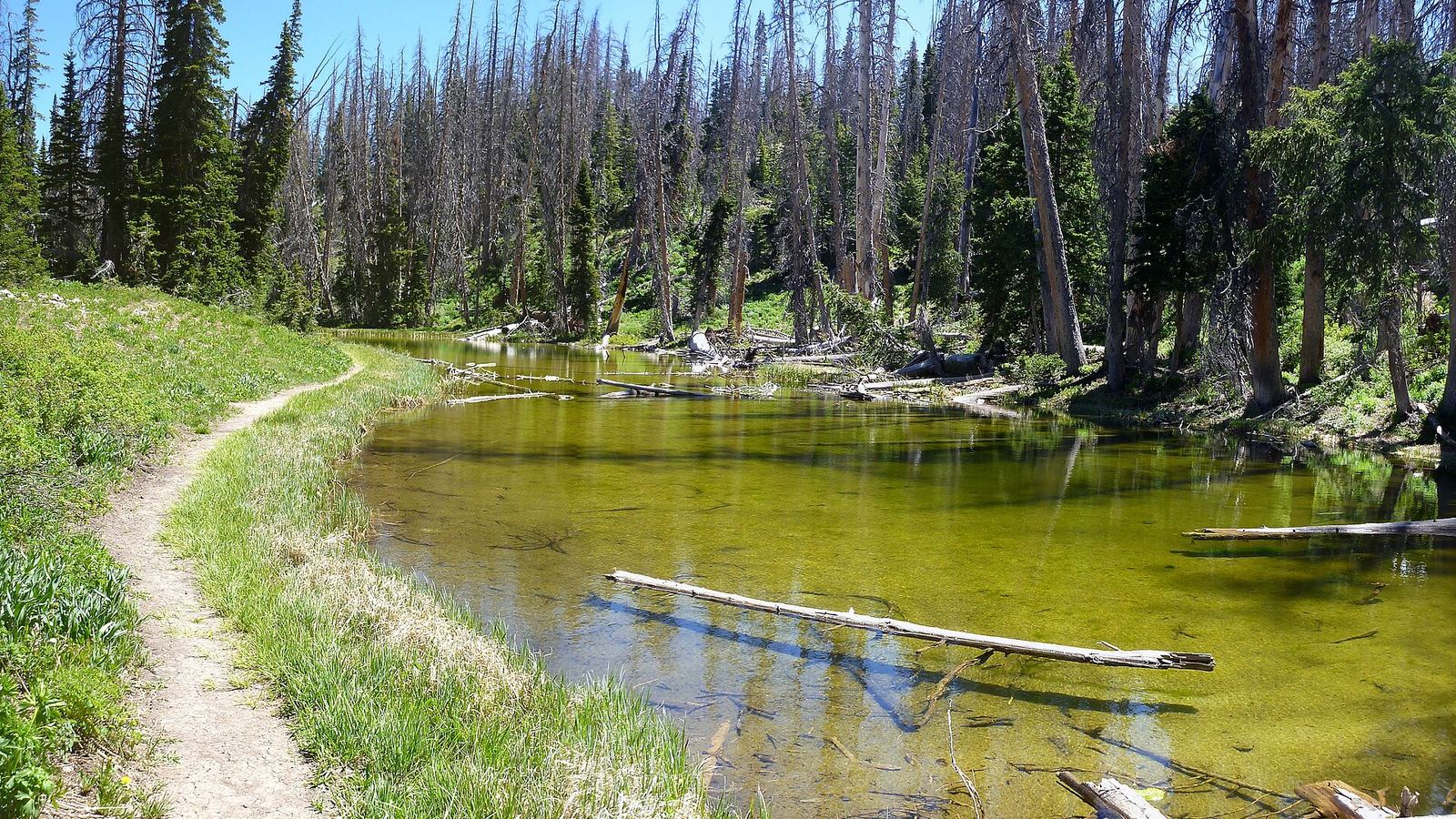 Alpine Pond Trail at Cedar Breaks