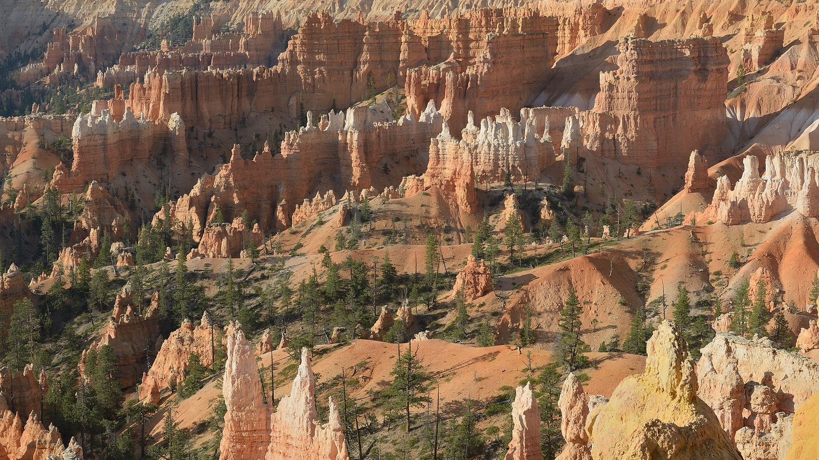 The Bryce Canyon in Utah.