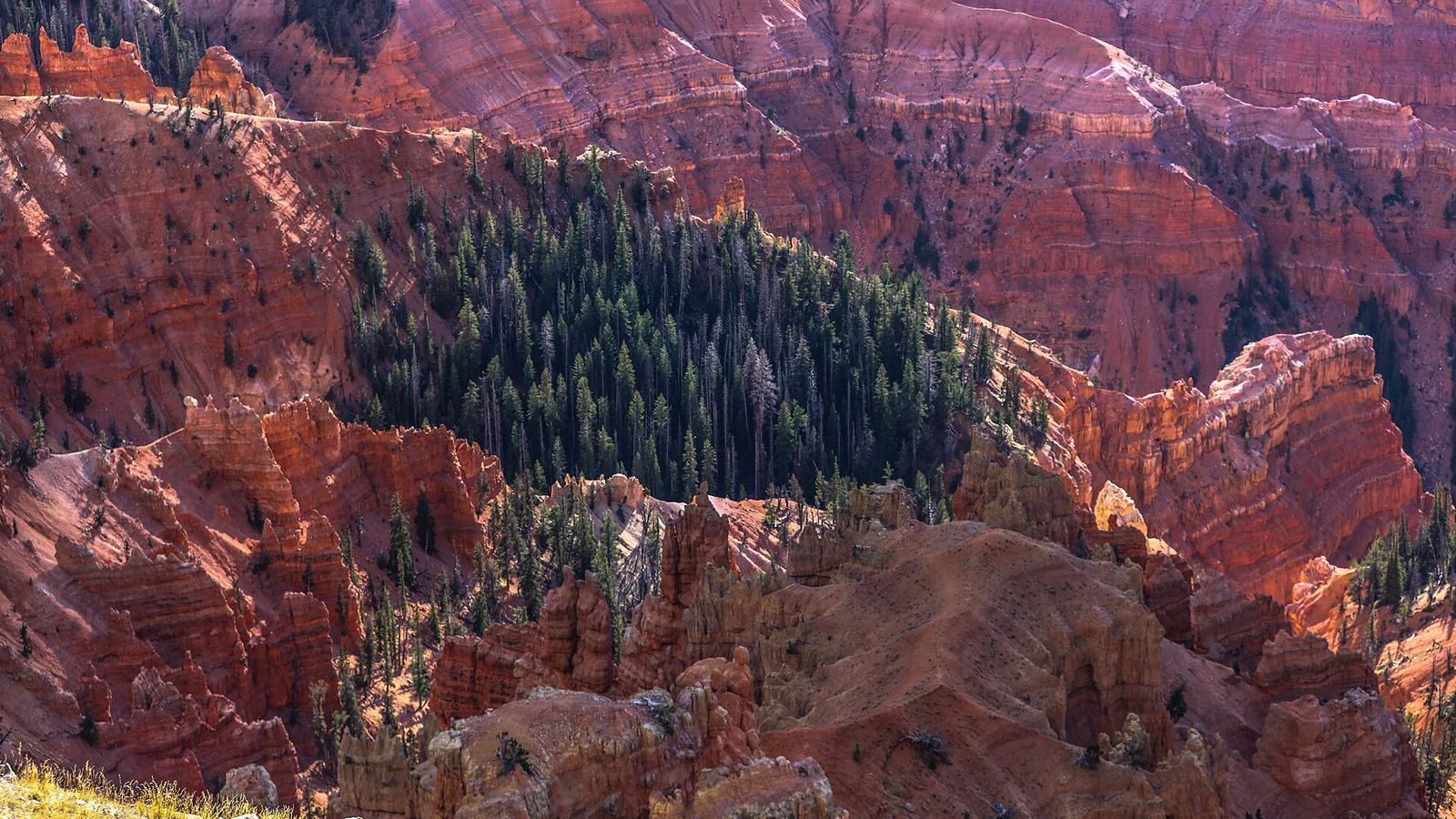 up over 10,000 feet 0n Utah 148 into Cedar Breaks National Monument...