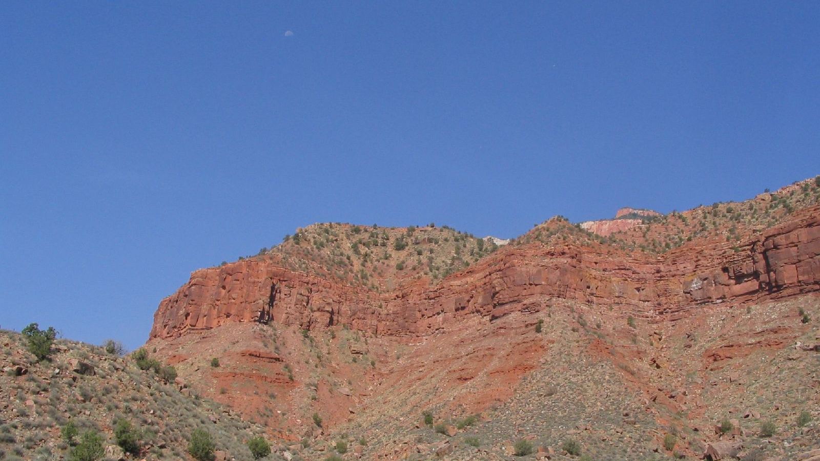Zion National Park is located in the Southwestern United States, near Springdale, Utah. A prominent feature of the 229-square-mile (590 km2)
