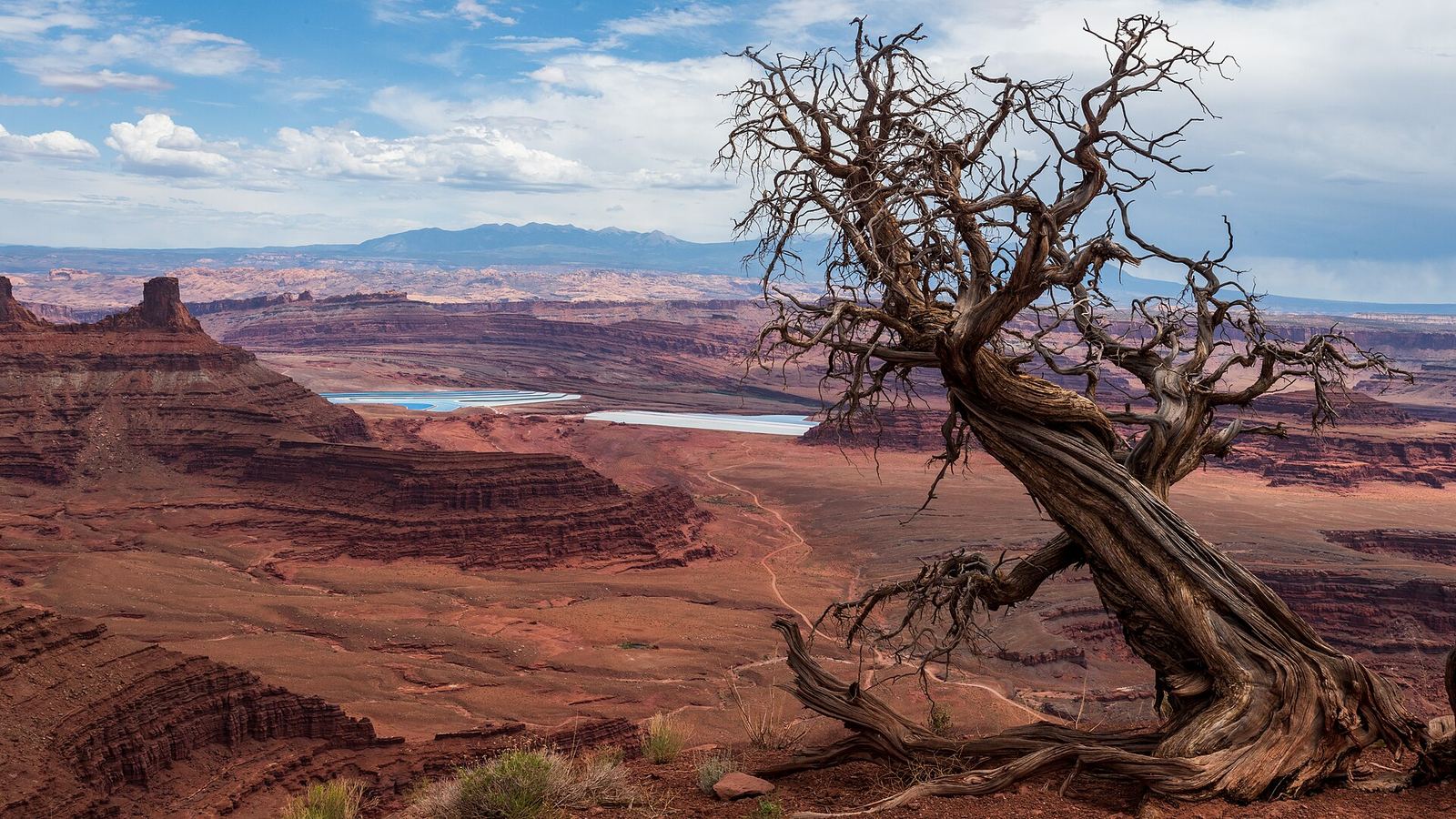 Dead Horse Point State Park, 2020