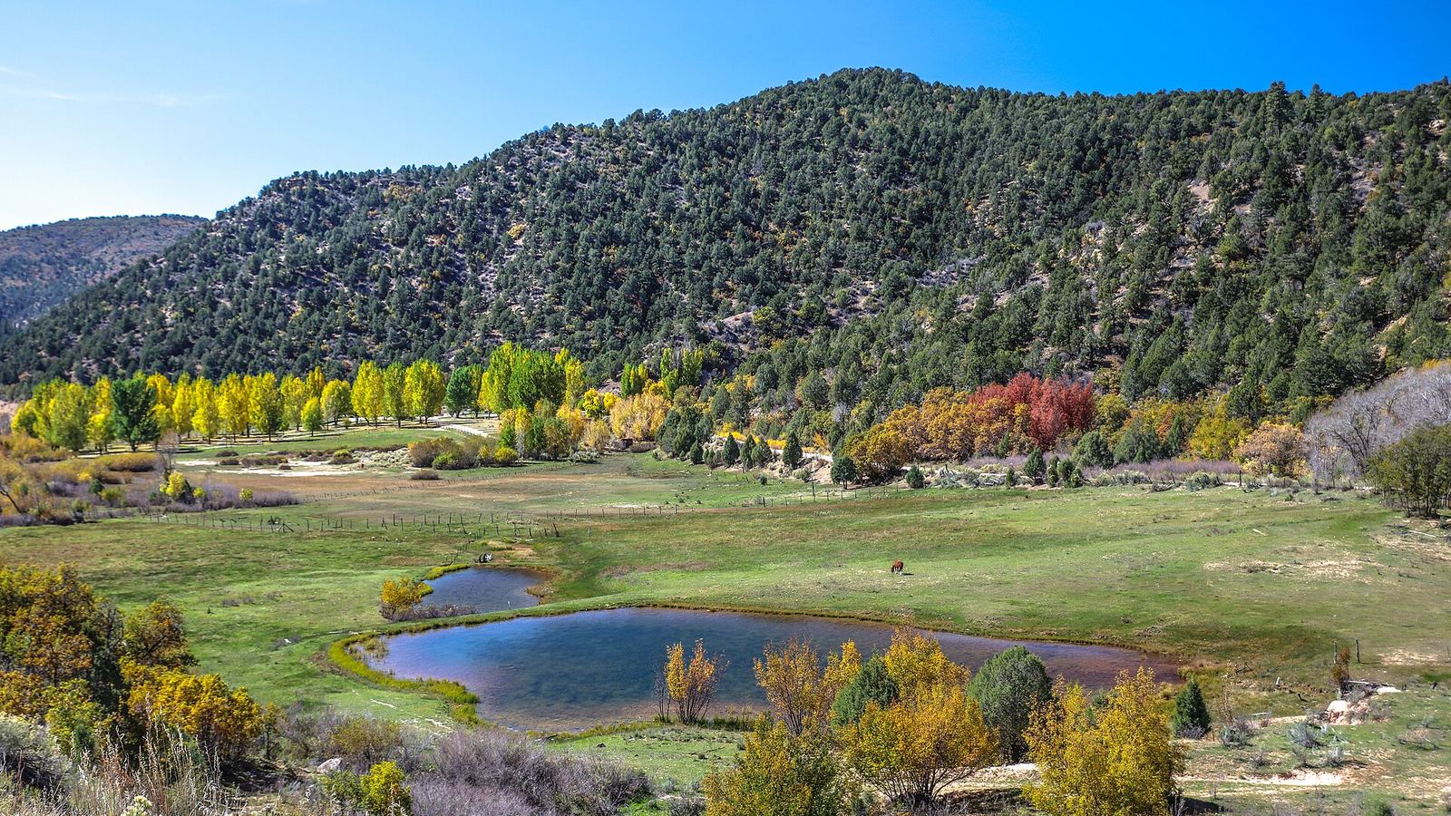 scenic fall colours along Utah Hwy 14...
