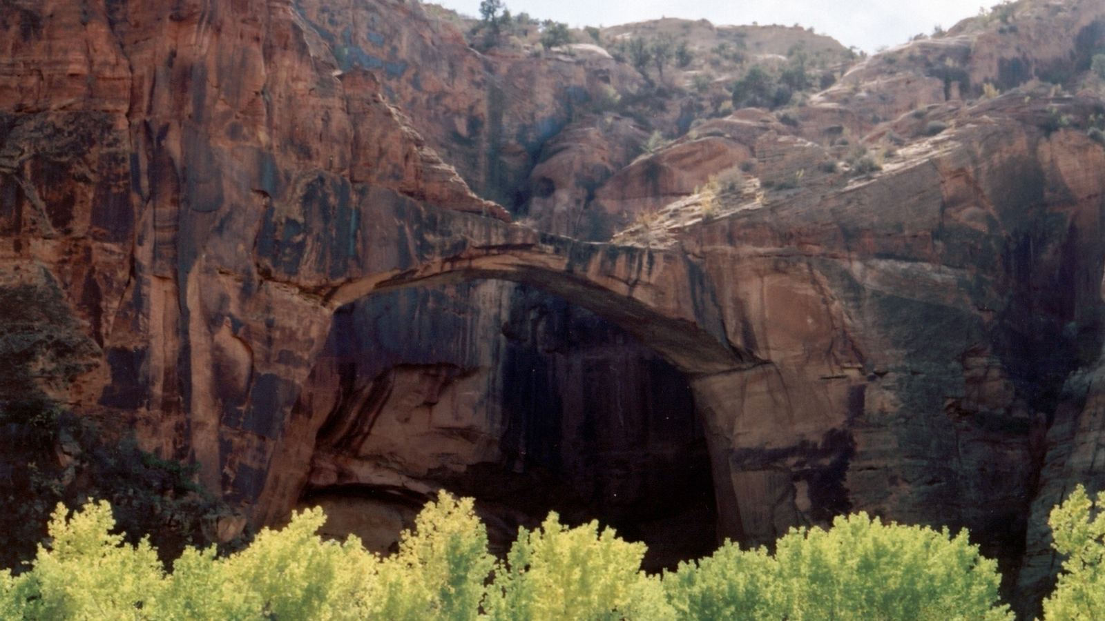 Scope and content: The original finding aid described this photograph as: Original Caption: The long span of this natural bridge in the mid