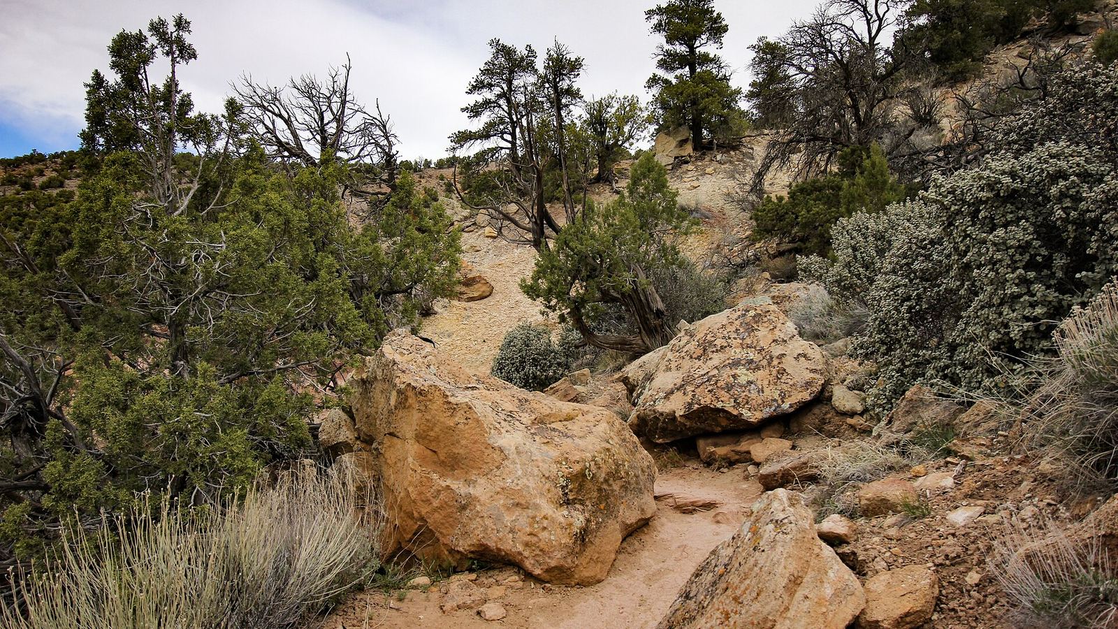 The short hike up to the top of Escalante Petrified Forest State Park