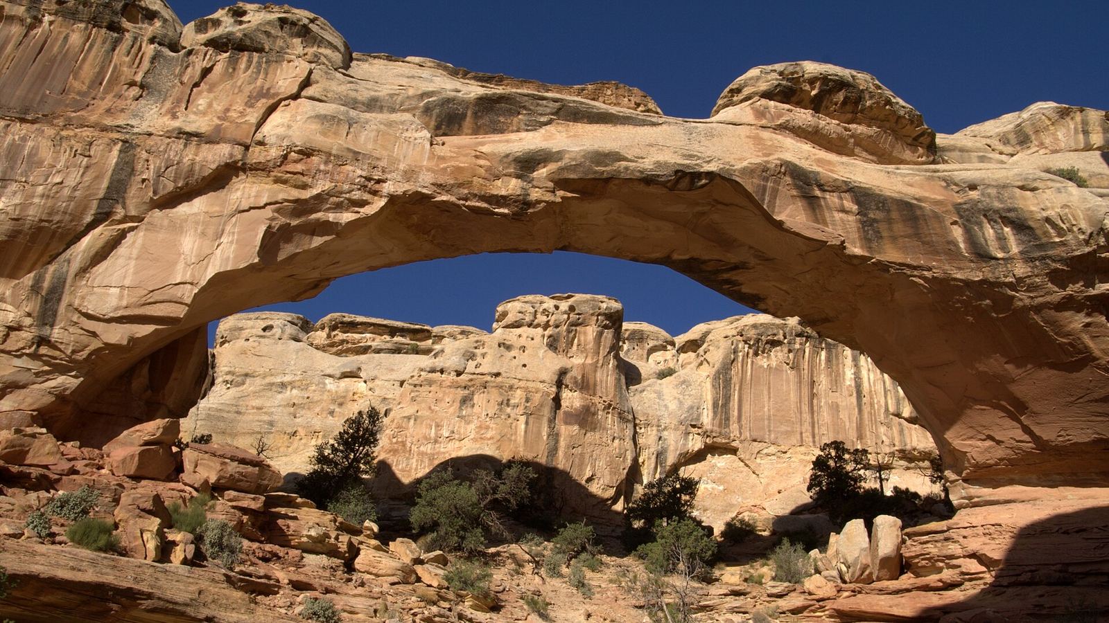Photo of Hickman Bridge in Capitol Reef National Park, USA