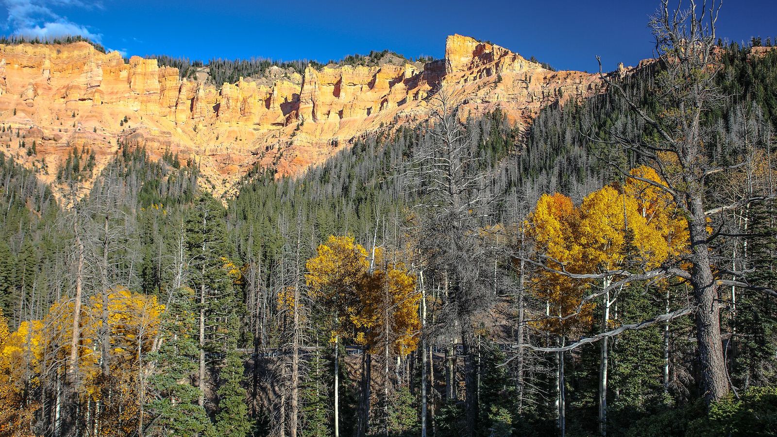 W down Hwy 14 toward Cedar, Utah...