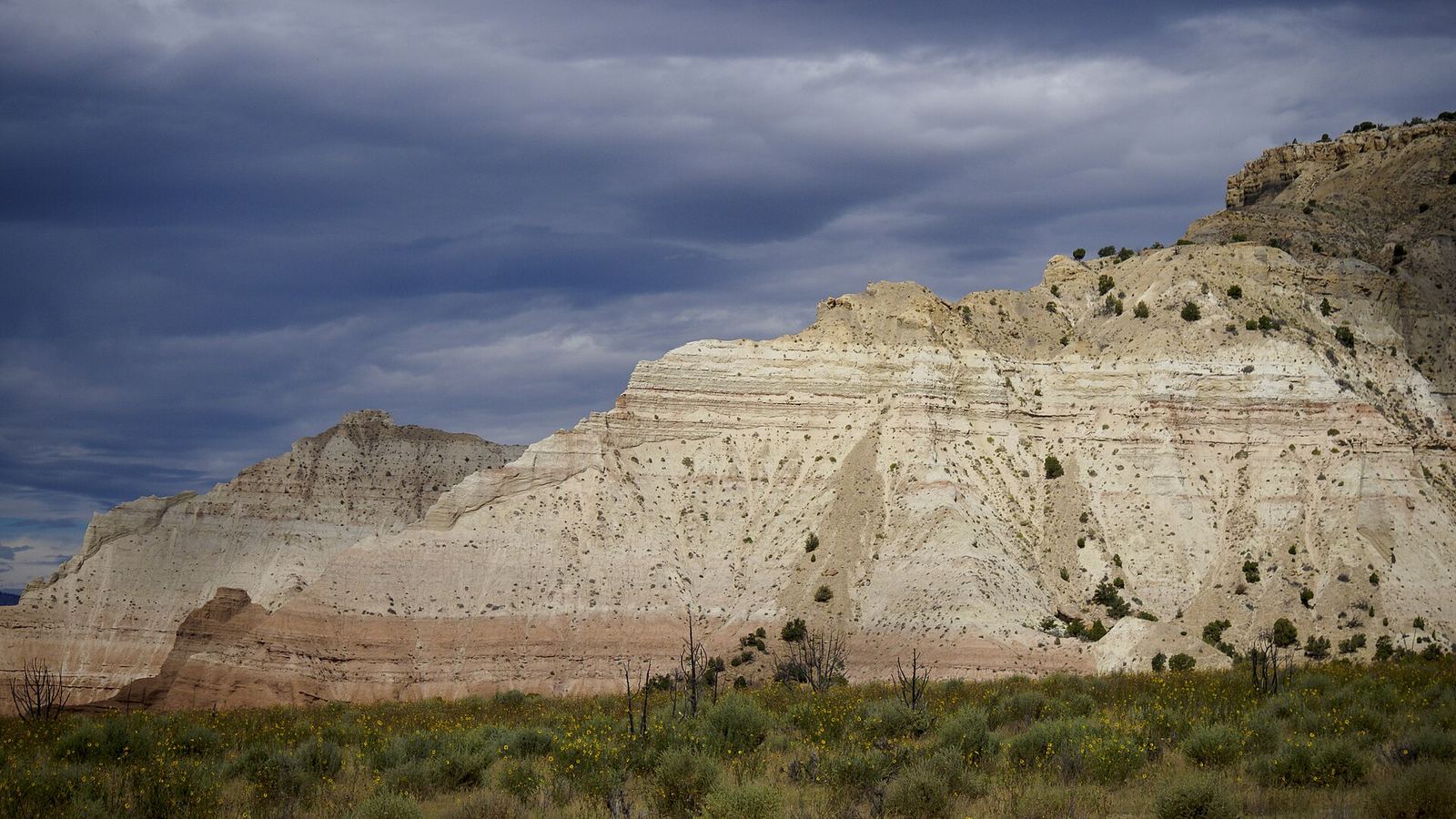 Sedimentary rocks in Kodachrome Basin State Park in Utah.