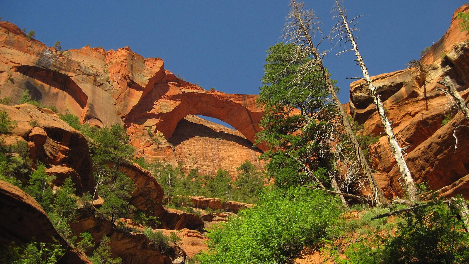 Kolob Arch in Zion's backcountry may be the second longest in the world. NPS Photo/Rendall Seely