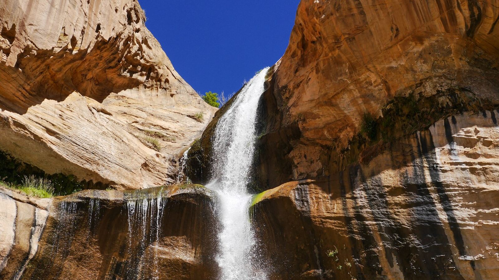 <a href="https://usareisetipps.com/8-tag-calf-creek-falls-hole-in-the-rock-road/" rel="nofollow">usareisetipps.com/8-tag-calf-creek-fa