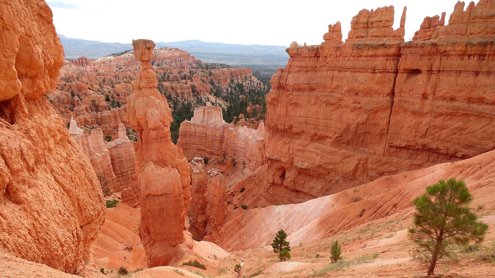 Walking uphill Navajo Loop (Two Bridges section) to Sunset Point, Bryce Canyon National Park, Utah