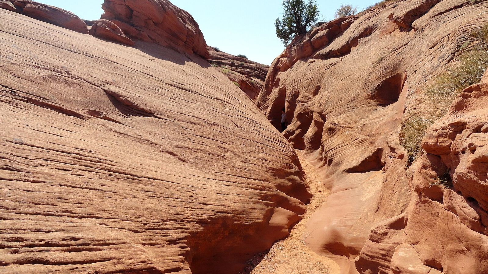 Descending Spooky Gulch, Dry Fork of Coyote Gulch, Grand Staircase-Escalante National Monument, Utah