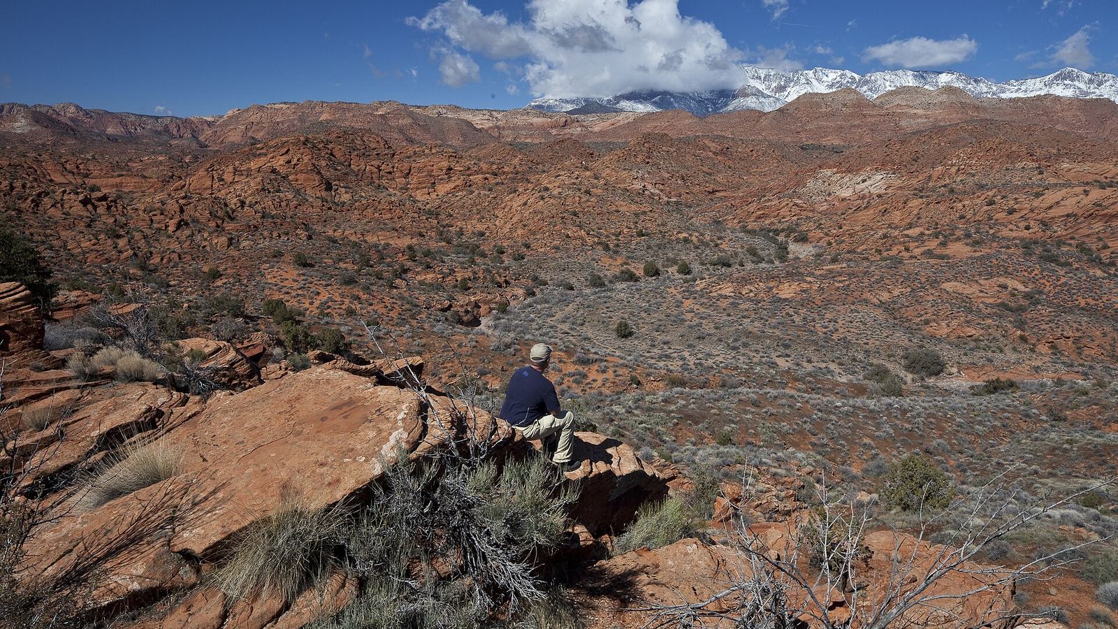 Through the Omnibus Public Land Management Act of 2009, Congress designated the Red Cliffs National Conservation Area (NCA) in Washington Co