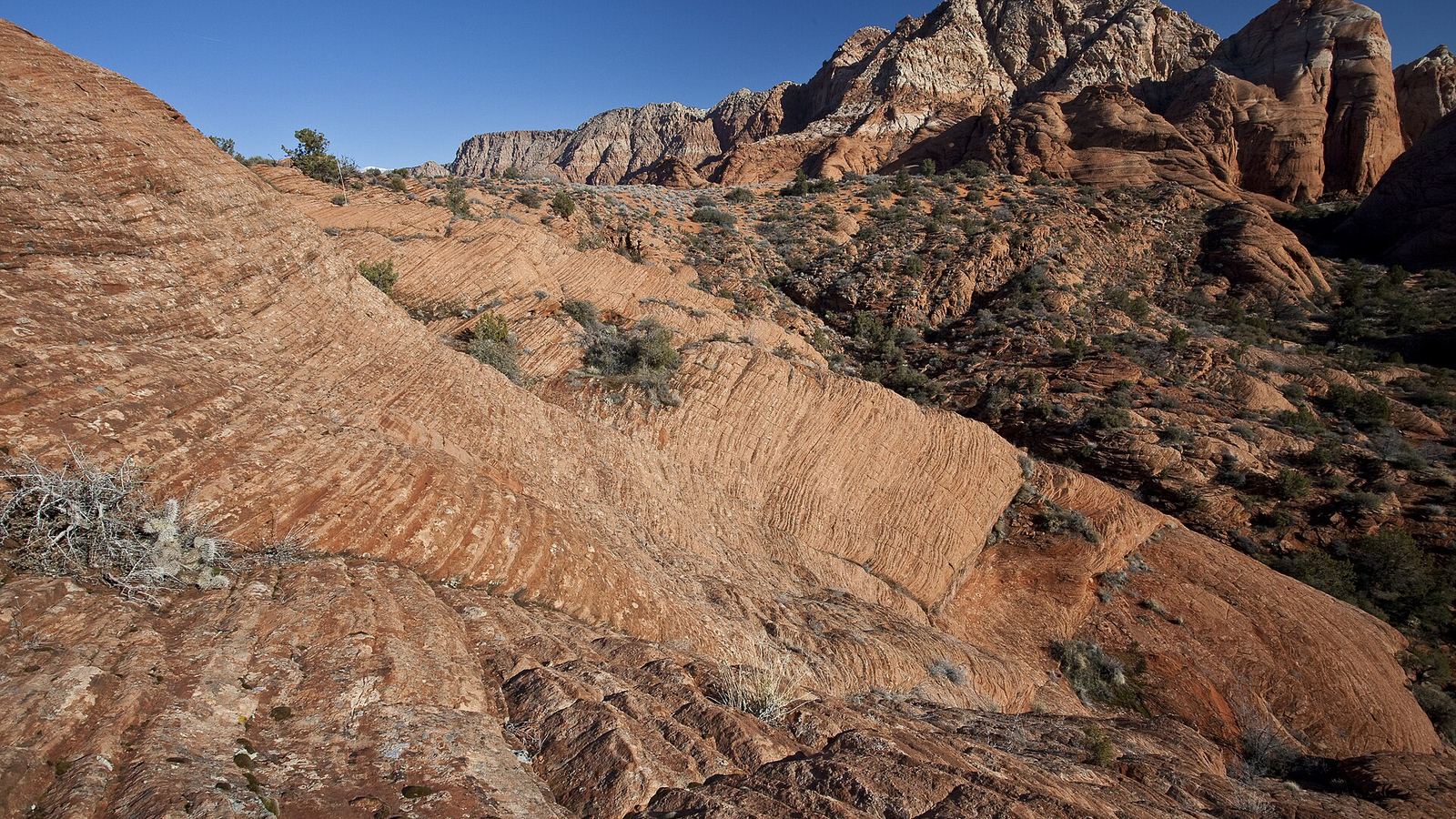 Through the Omnibus Public Land Management Act of 2009, Congress designated the Red Cliffs National Conservation Area (NCA) in Washington Co