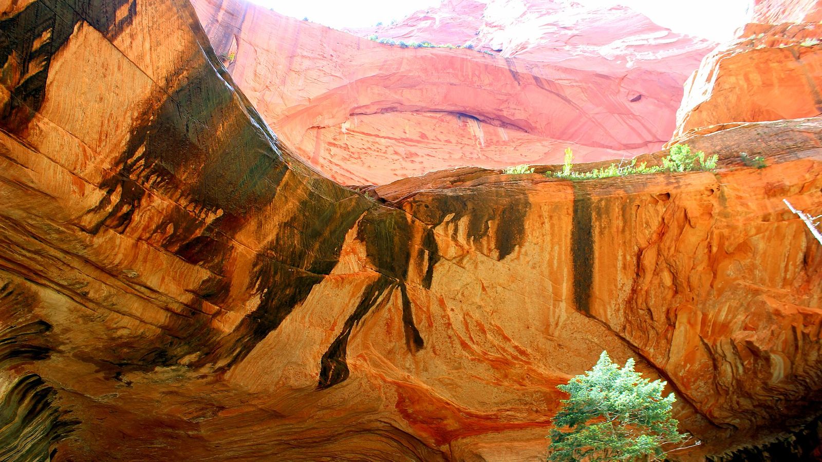 Double Arch Alcove, Taylor Creek Trail, Kolob Canyons, Zion National Park