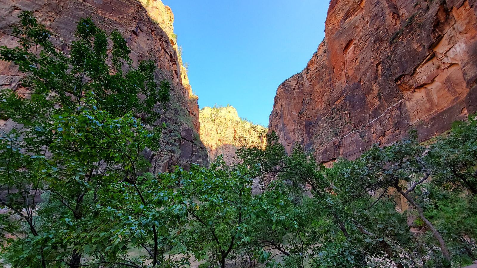 Zion National Park