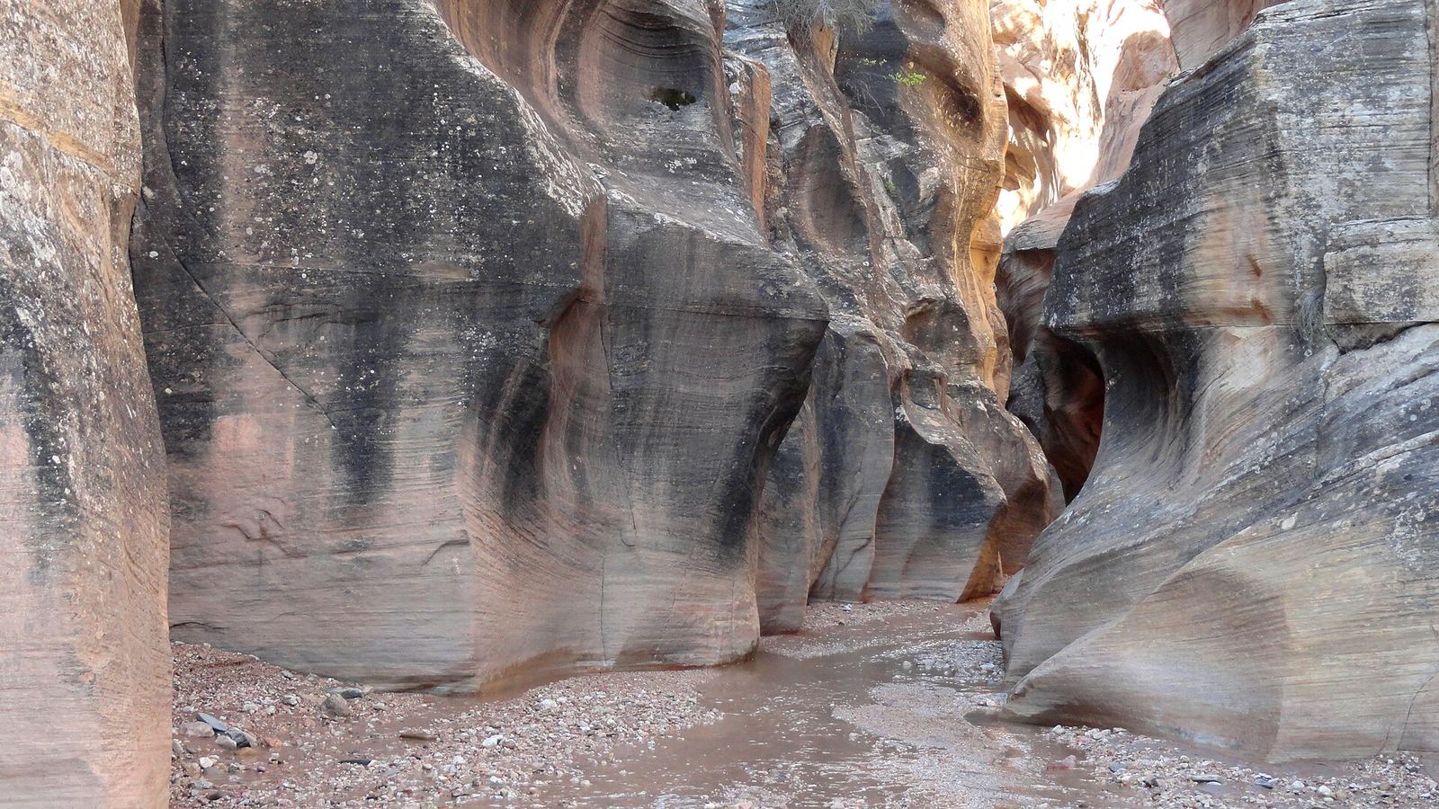 Willis Creek Slot Canyon, Grand Staircase-Escalante National Monument, Utah